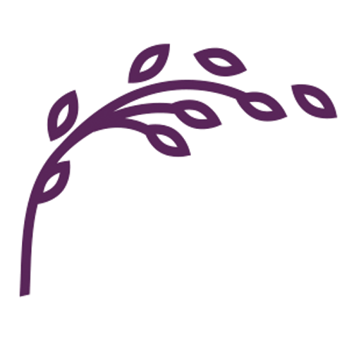 Willow - Women's Legal Service on the Go